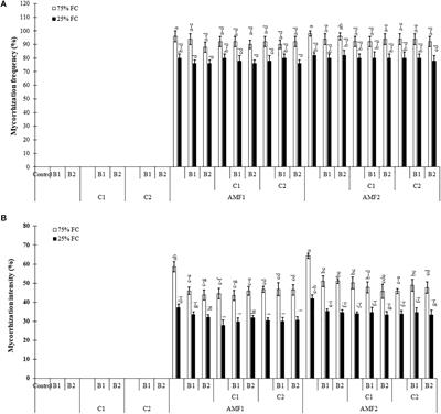 Biofertilizers as Strategies to Improve Photosynthetic Apparatus, Growth, and Drought Stress Tolerance in the Date Palm